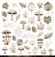 Autumn Whispers Collection Cover - 12