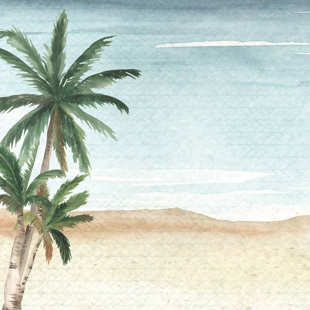 Palm Tree  12
