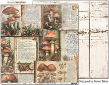 Load image into Gallery viewer, Autumn Whispers - Paper Collection Pack