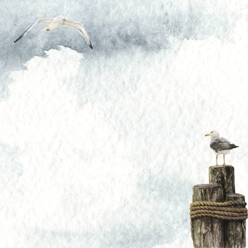 Seagull 12