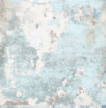 Load image into Gallery viewer, Garden Meadows - Paper Collection Pack