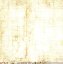 Load image into Gallery viewer, Potions &amp; Posies - Paper Collection Pack