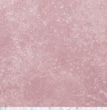 Load image into Gallery viewer, Petite Bites - 12&quot;x12&quot; Scrapbooking Paper