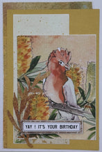 Load image into Gallery viewer, Aussie Bushland Card Kit