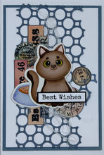 Load image into Gallery viewer, Kitty Cat Card Kit