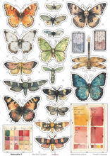 Load image into Gallery viewer, A4 Cut Apart - Assorted