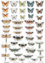 Load image into Gallery viewer, A4 Cut Apart - Assorted