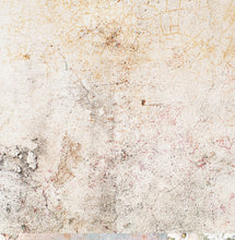 Load image into Gallery viewer, Flourishing - 12&quot;x12&quot; Scrapbooking Paper